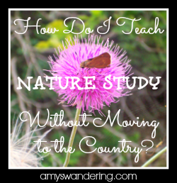 nature study