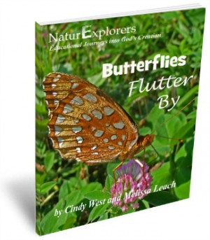 Butterflies-Flutter-By-3D-Cover-2