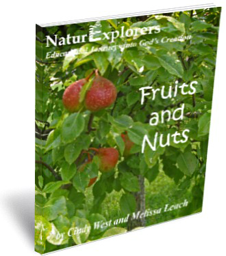 Fruits-and-Nuts-3D-Cover