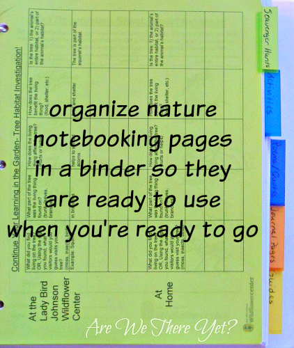 organize nature notebooking pages