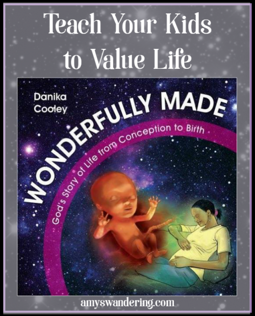 Teach Your Kids to Value Life with Wonderfully Made